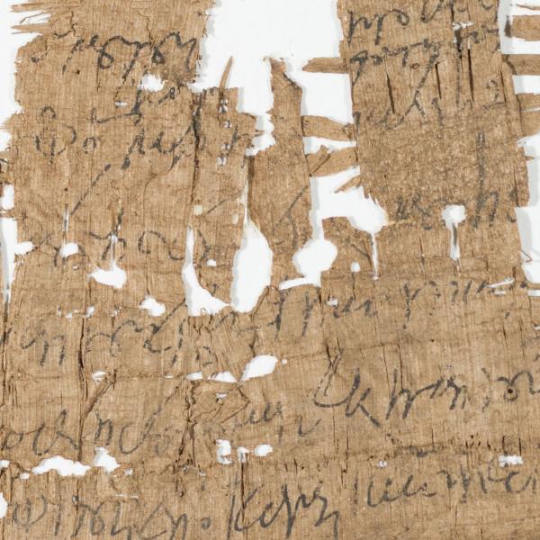 Washington University papyri feature prominently in new papyrology publication