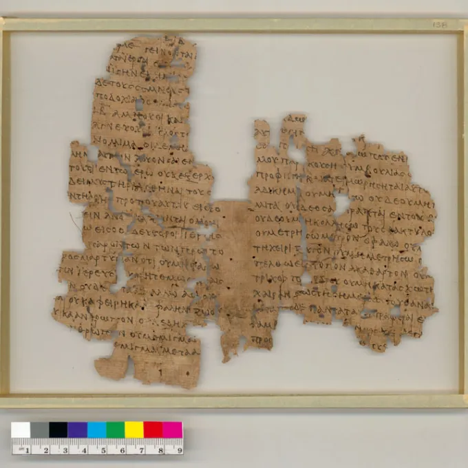 fragment of papyri