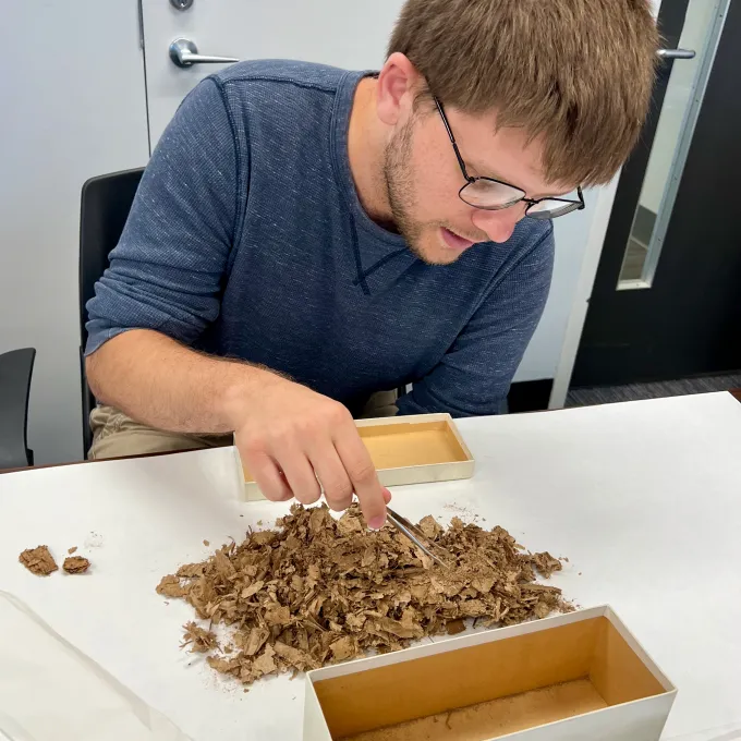Sieving sorting through a pile of papyri fragments